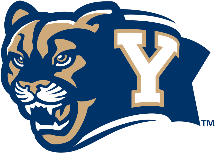 Brigham Young Cougars 2005-Pres Secondary Logo DIY iron on transfer (heat transfer)